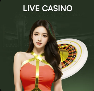 kingkong金刚v8 app下载